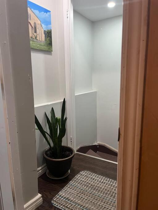 Bernie'S Basement Apartment Milton Bagian luar foto